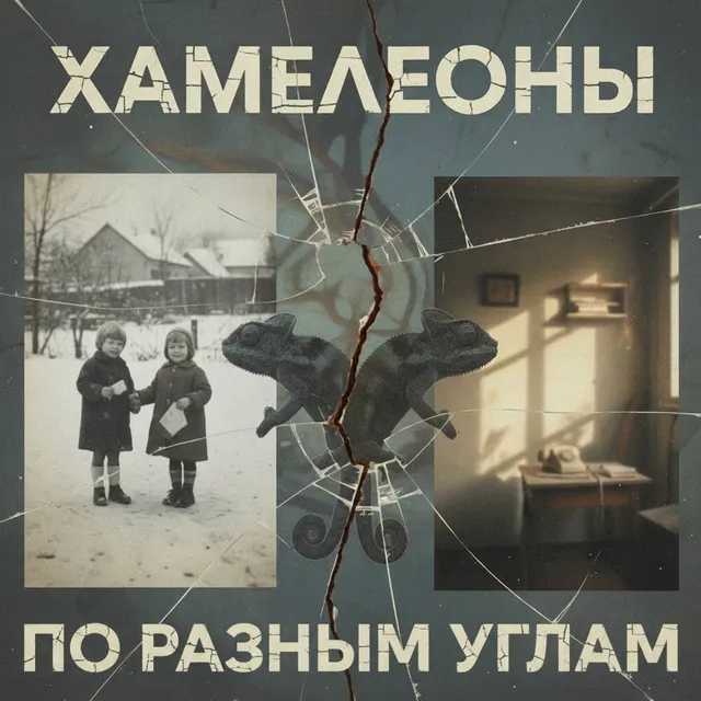 Хамелеоны — По разным углам — обложка релиза