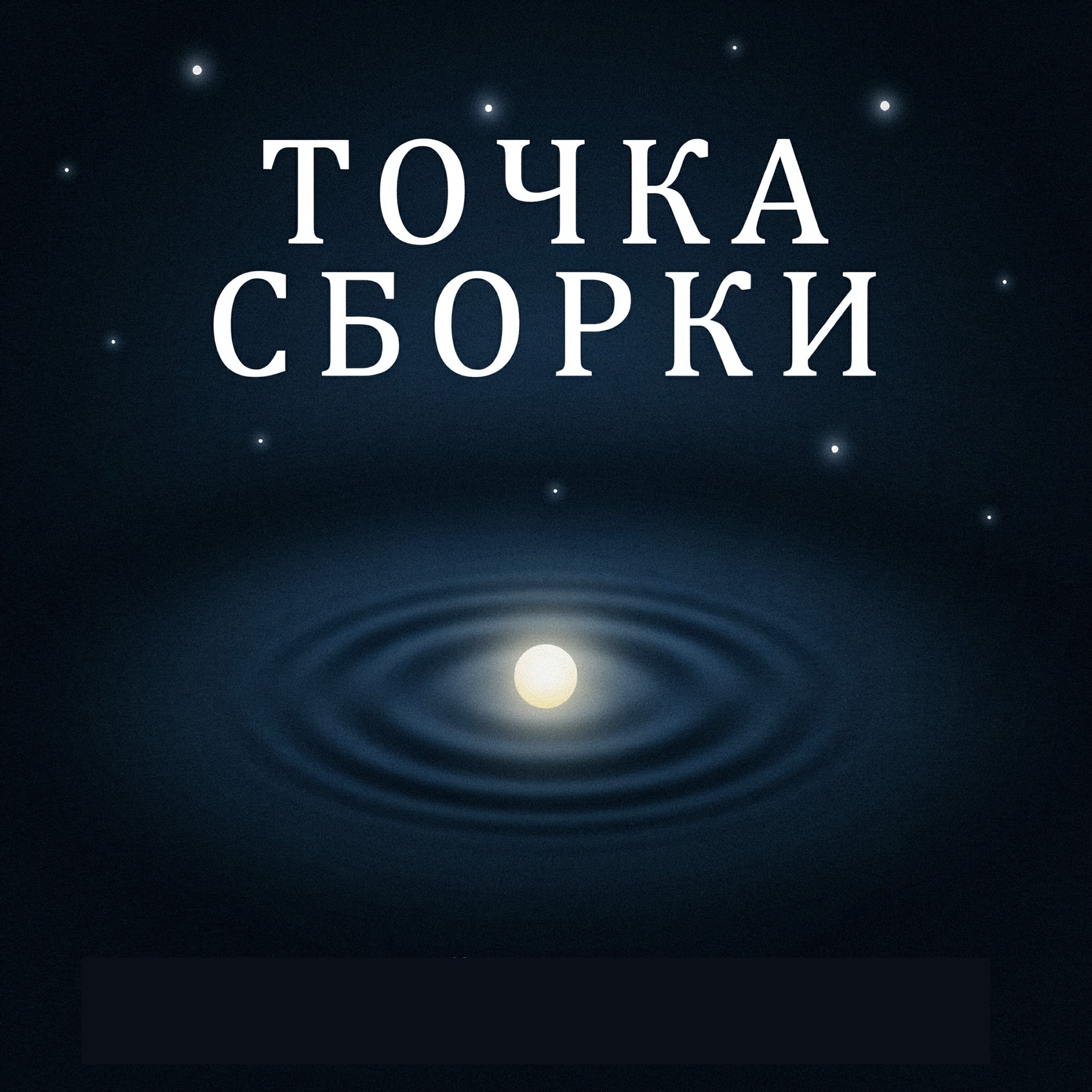 Точка сборки — обложка