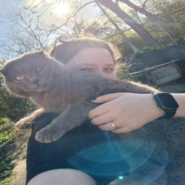 Бандитка — Верность — обложка релиза