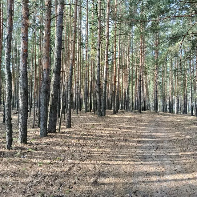 AleksBro — Моя мечта — обложка релиза