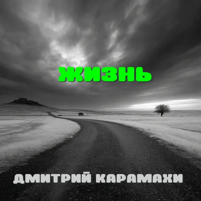 Дмитрий Карамахи — Жизнь — обложка релиза
