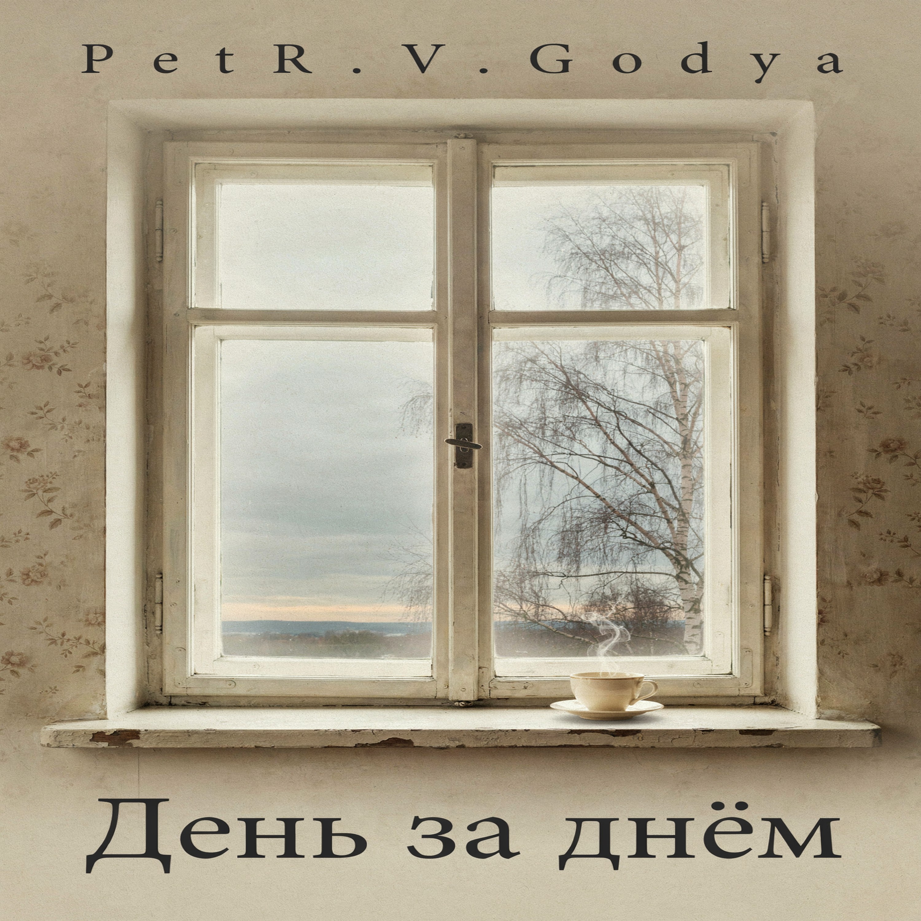 День за днём — обложка