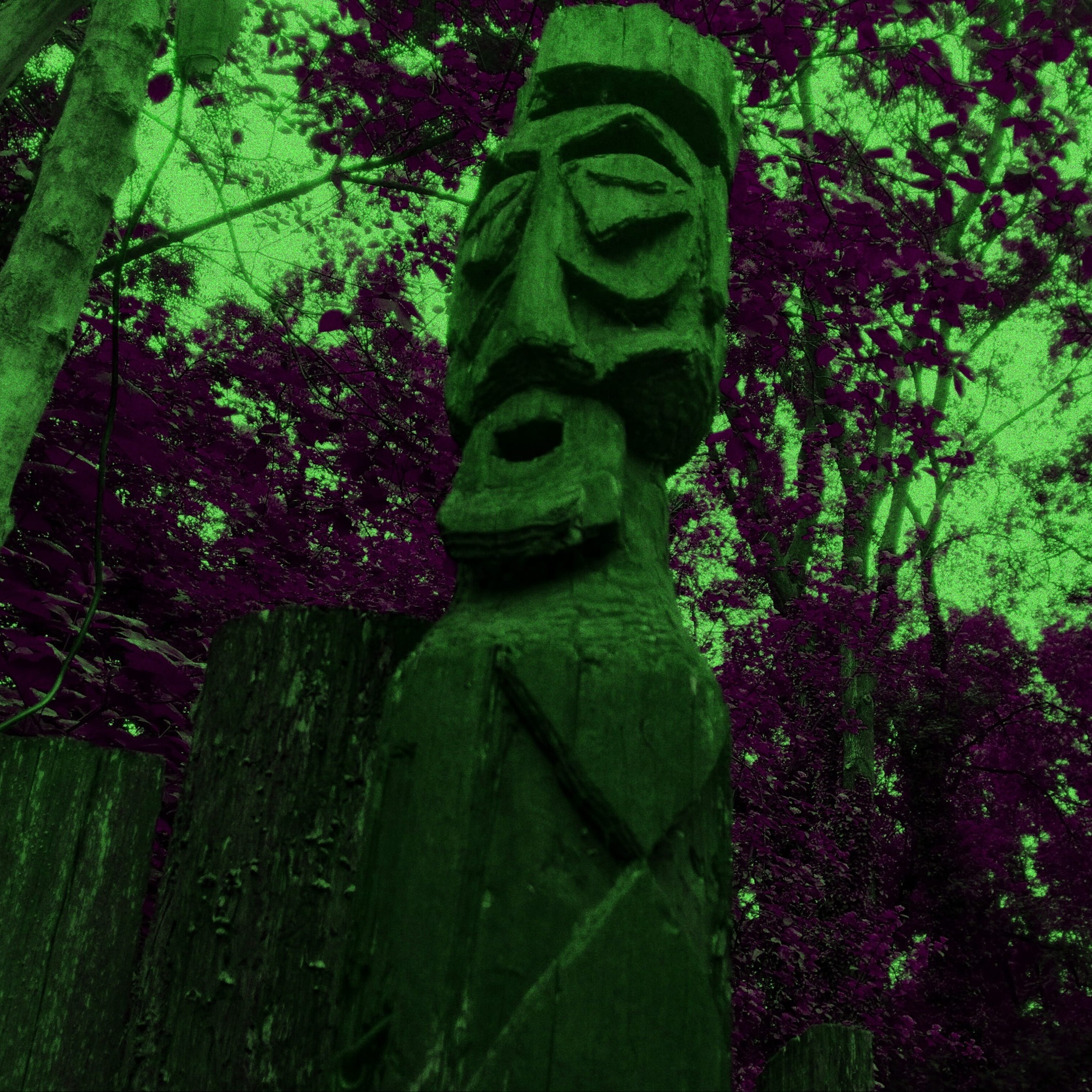 Junglebones — обложка