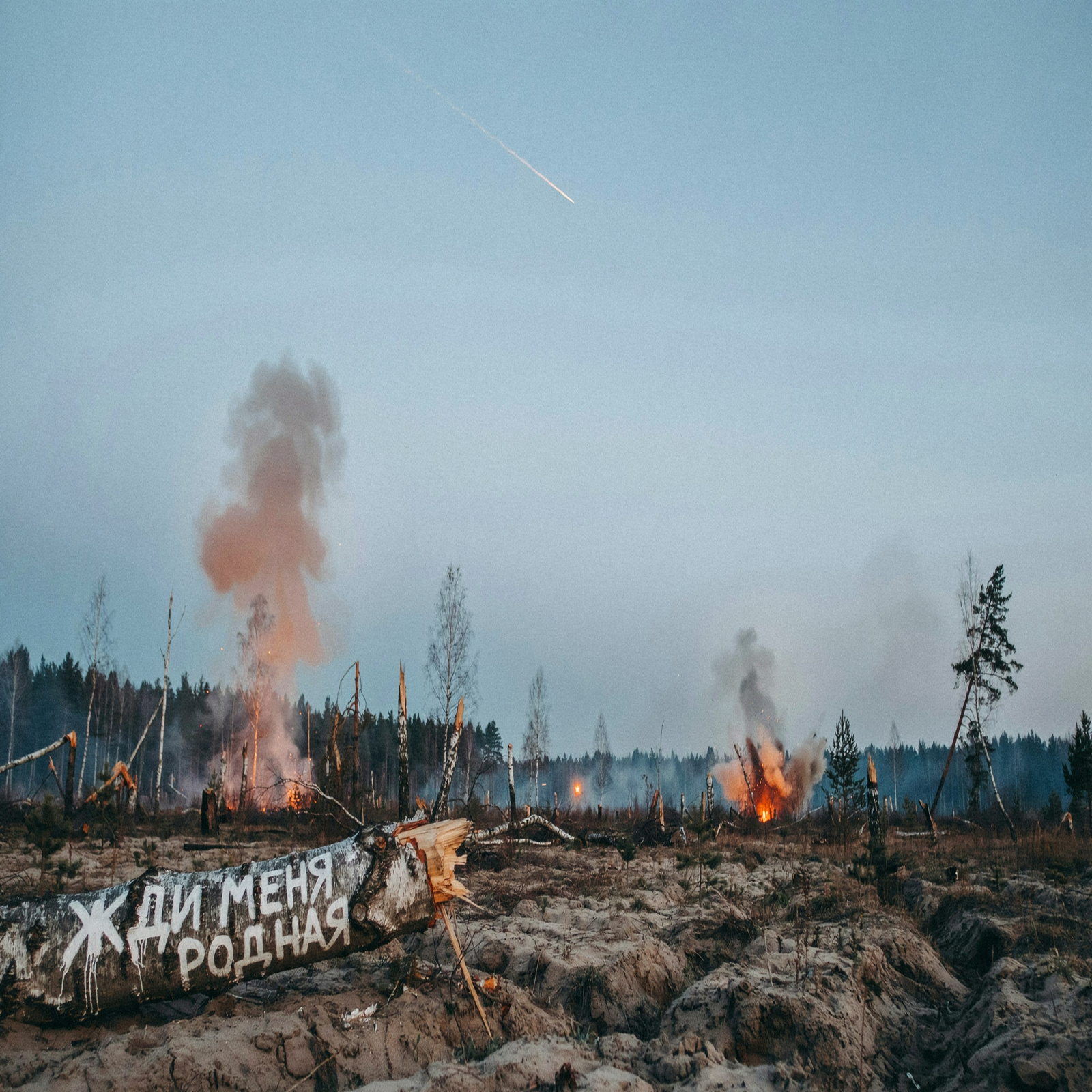 Жди меня родная — обложка