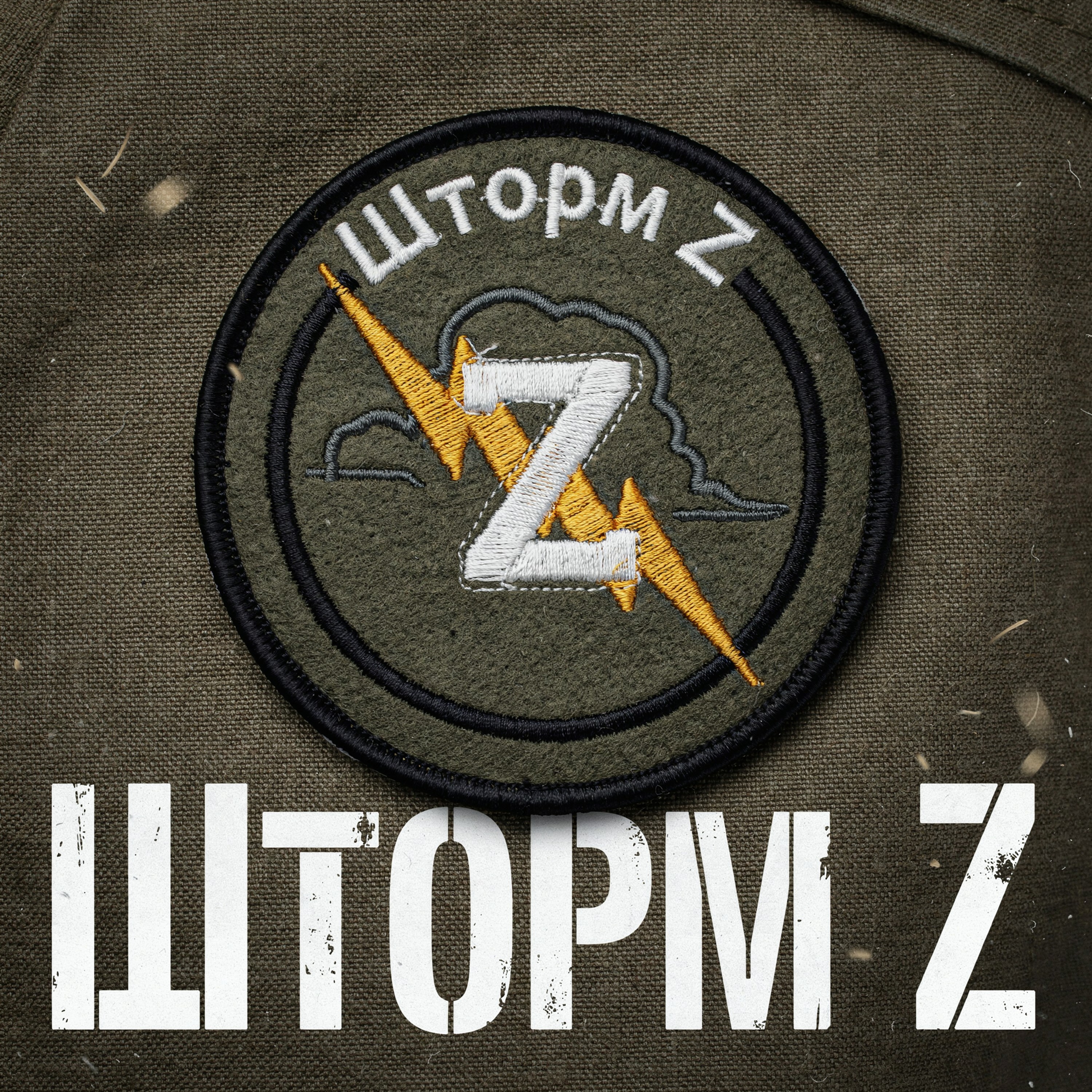 Шторм Z — обложка