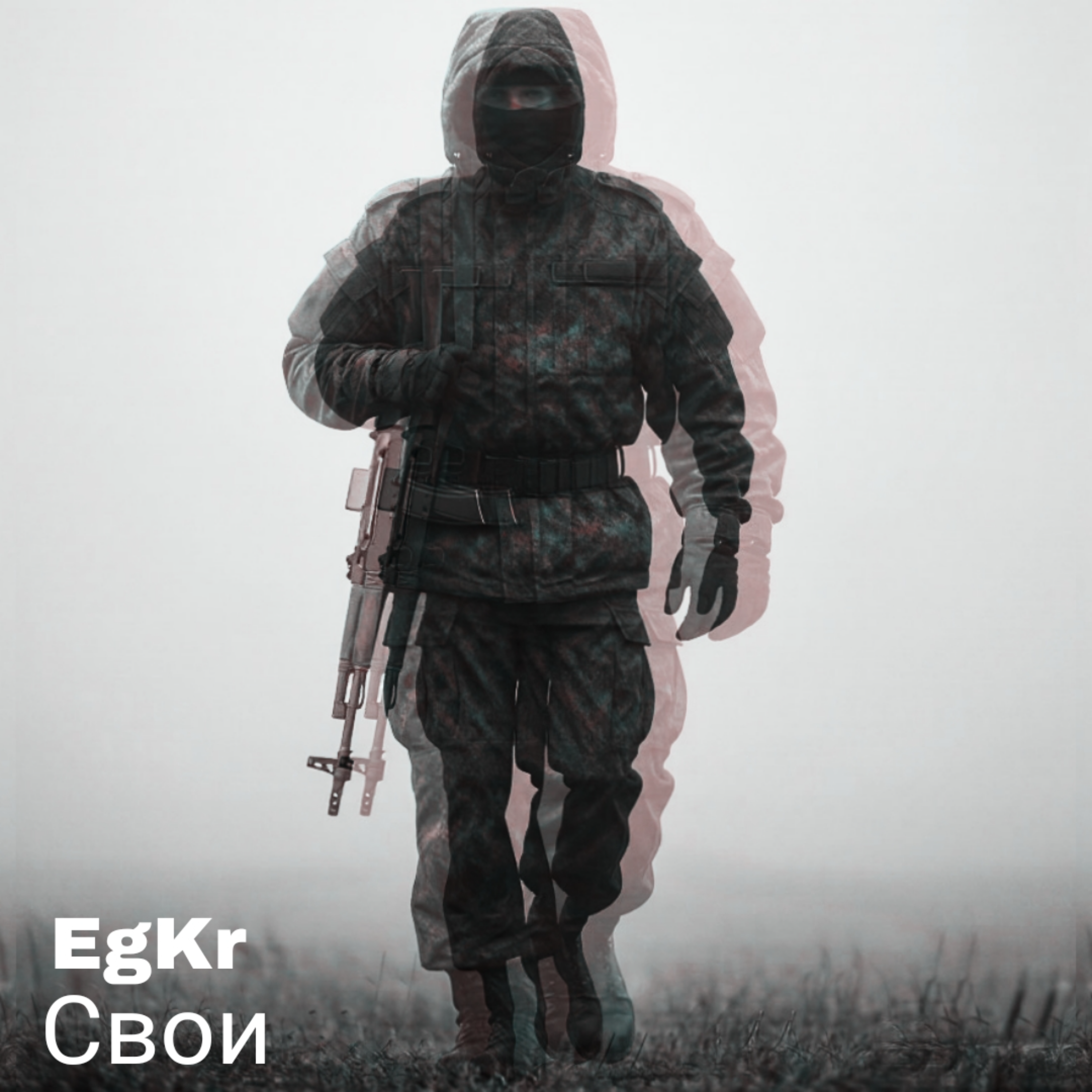 Свои — обложка