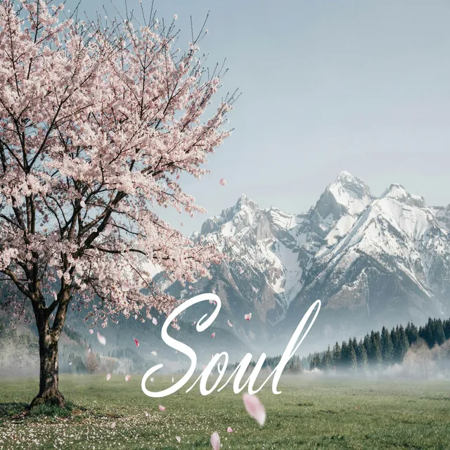 SOxiO — Soul — обложка релиза