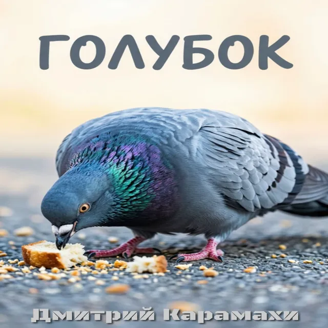 Дмитрий Карамахи — Голубок — обложка релиза