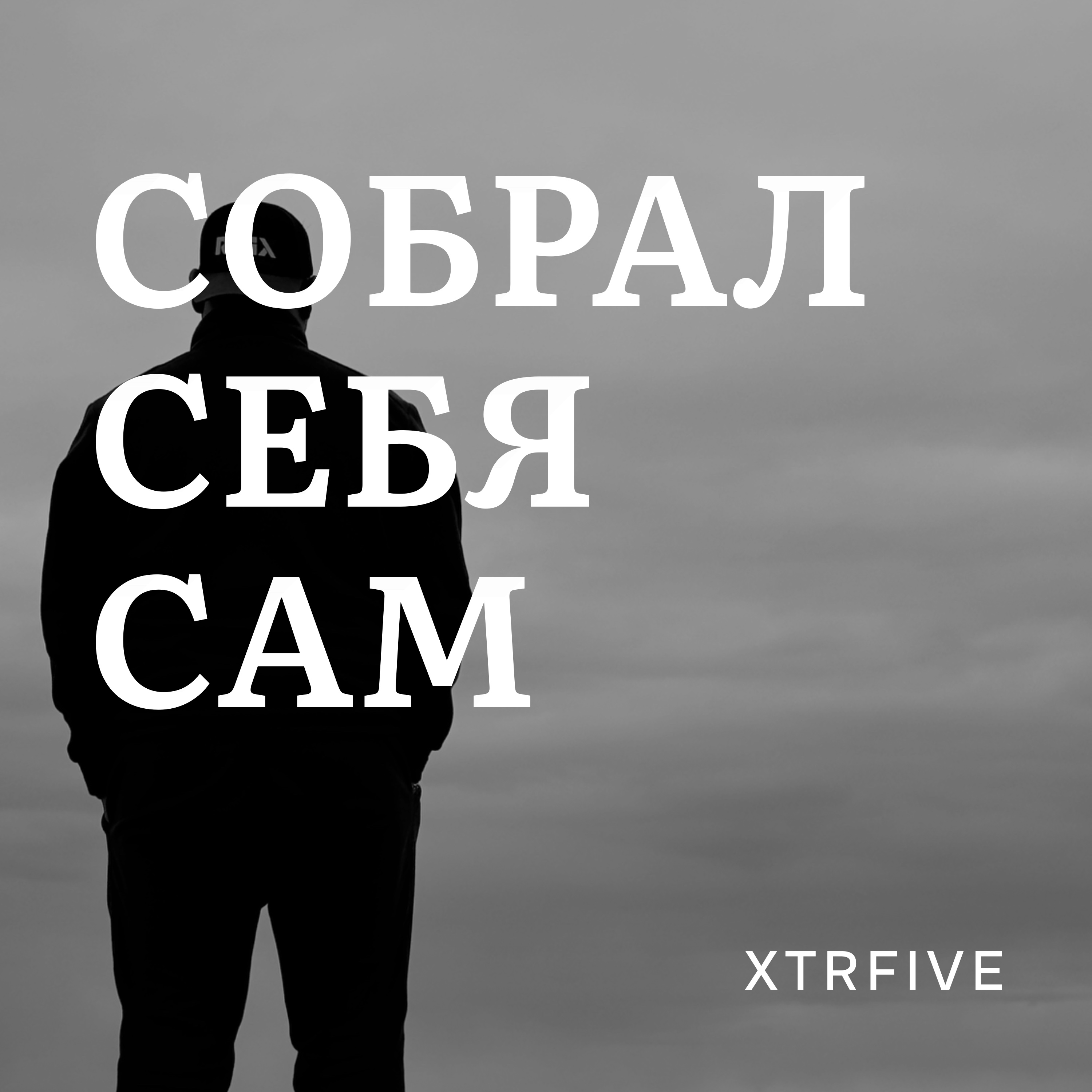Собрал себя сам — обложка