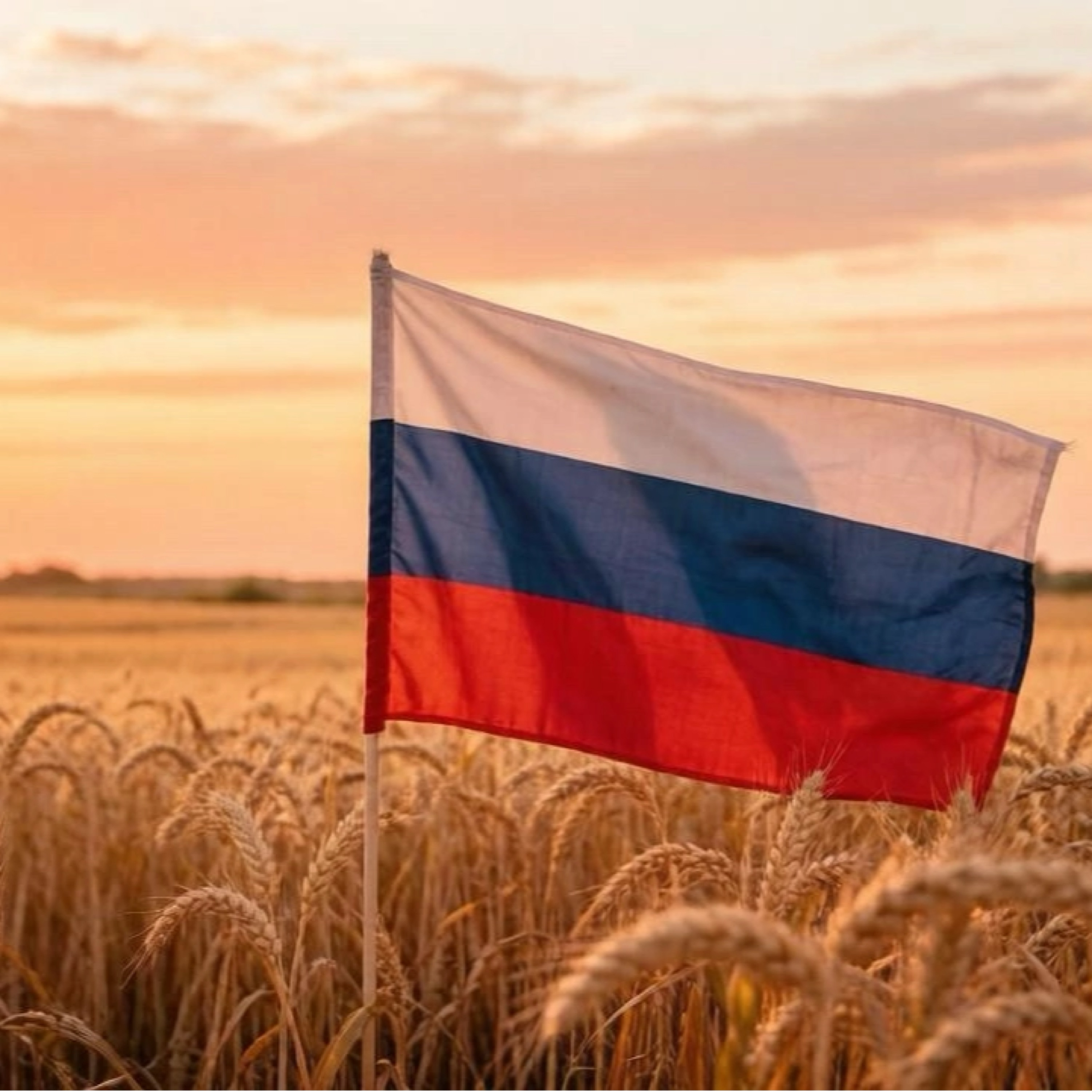 Это Родина моя — обложка