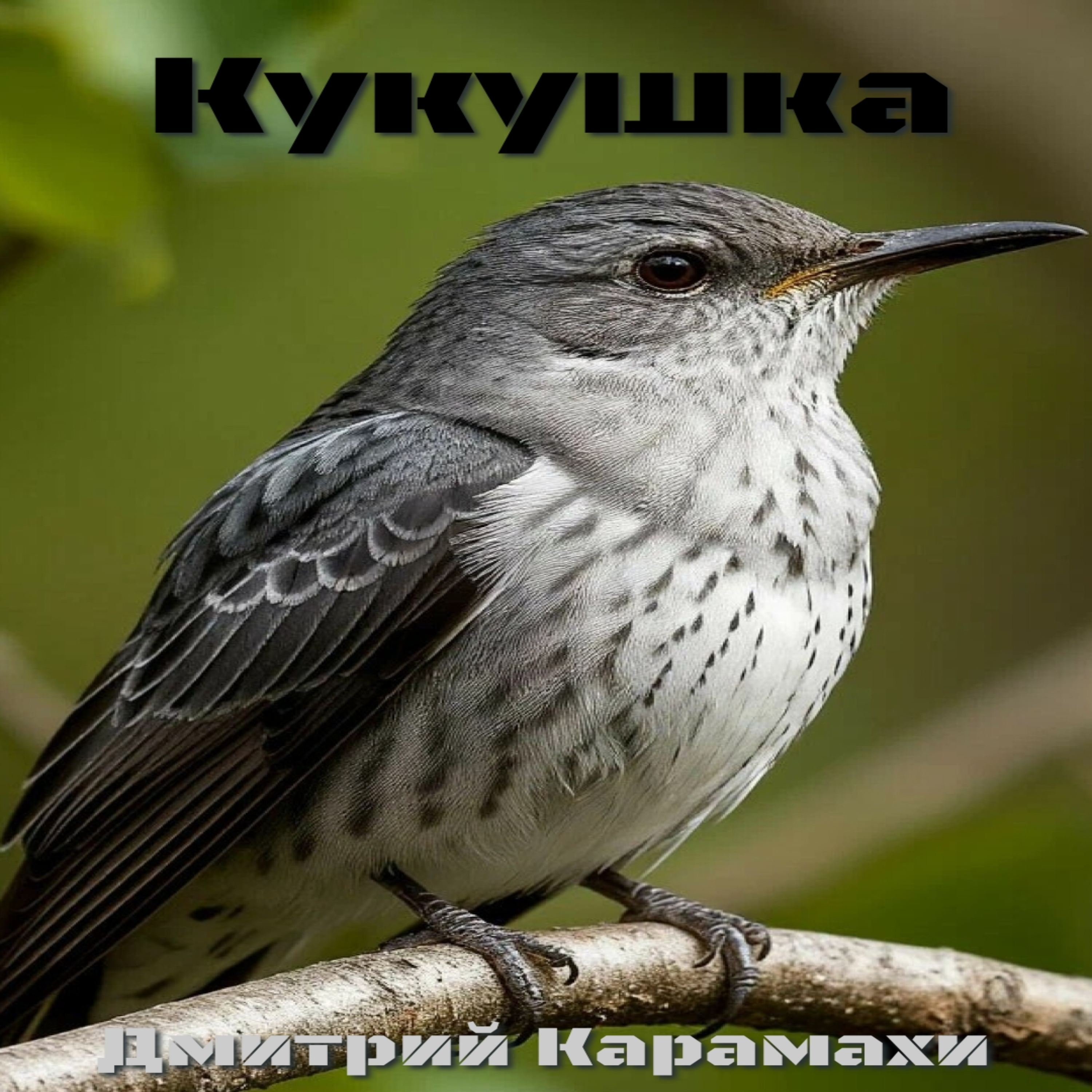 Кукушка — обложка