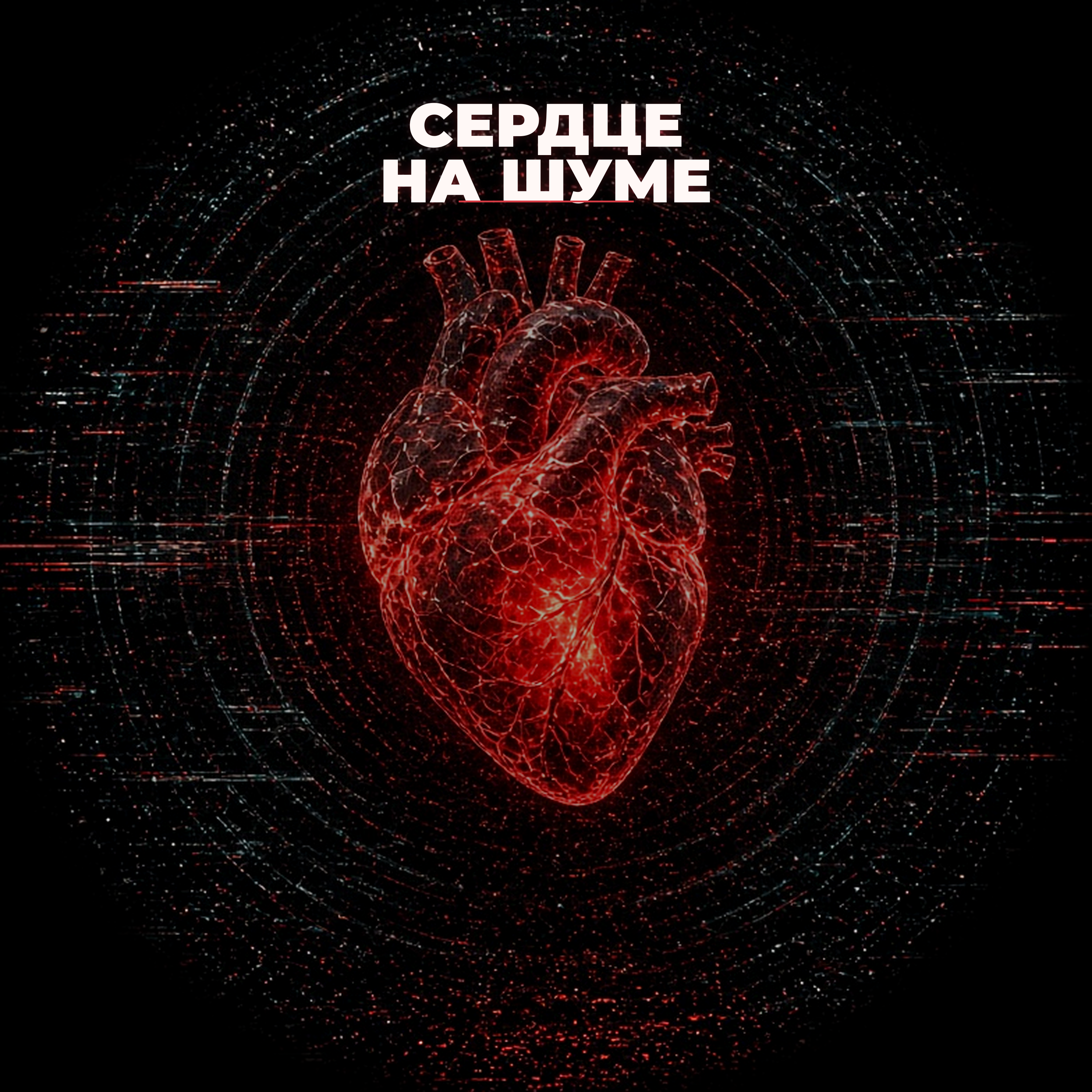 Сердце на шуме — обложка