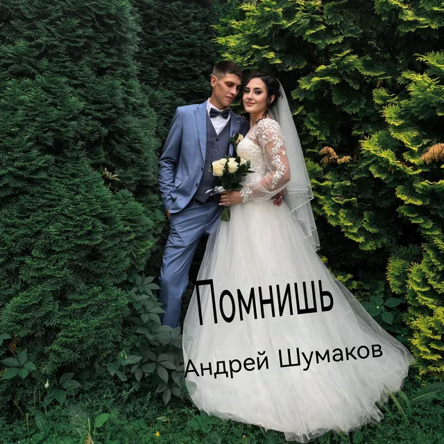 Андрей Шумаков — Помнишь — обложка релиза