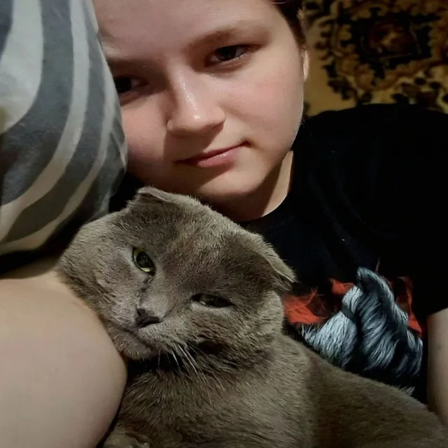Бандитка — Не твой котёнок — обложка релиза