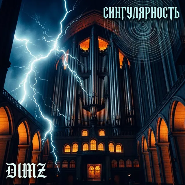 DimZ — Сингулярность — обложка релиза