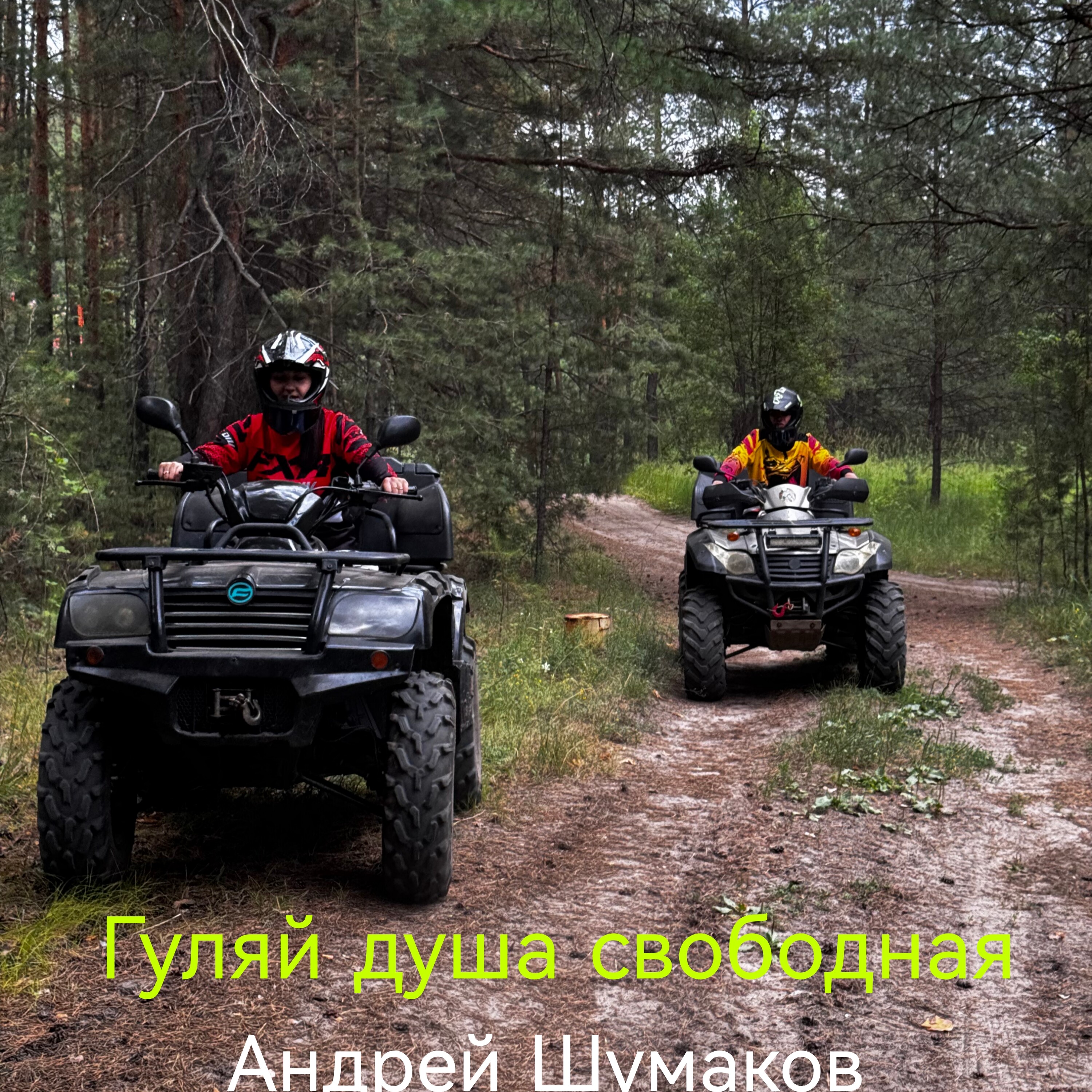 Гуляй душа свободная — обложка