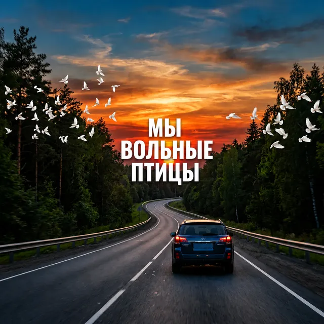 GazLodya — Мы вольные птицы — обложка релиза
