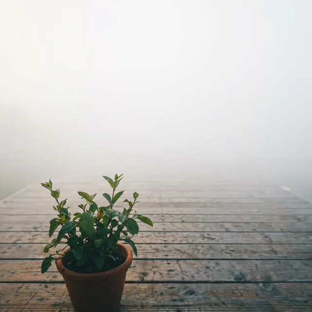 RomexB — Warm fog — обложка релиза