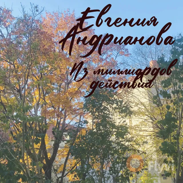 Евгения Андрианова — Из миллиардов действий — обложка релиза