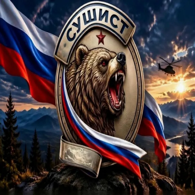 Позывной Сушист — Птицы в сером небе — обложка релиза