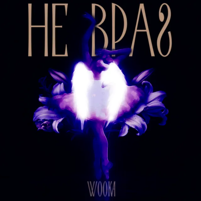 wooka — Не враг — обложка релиза