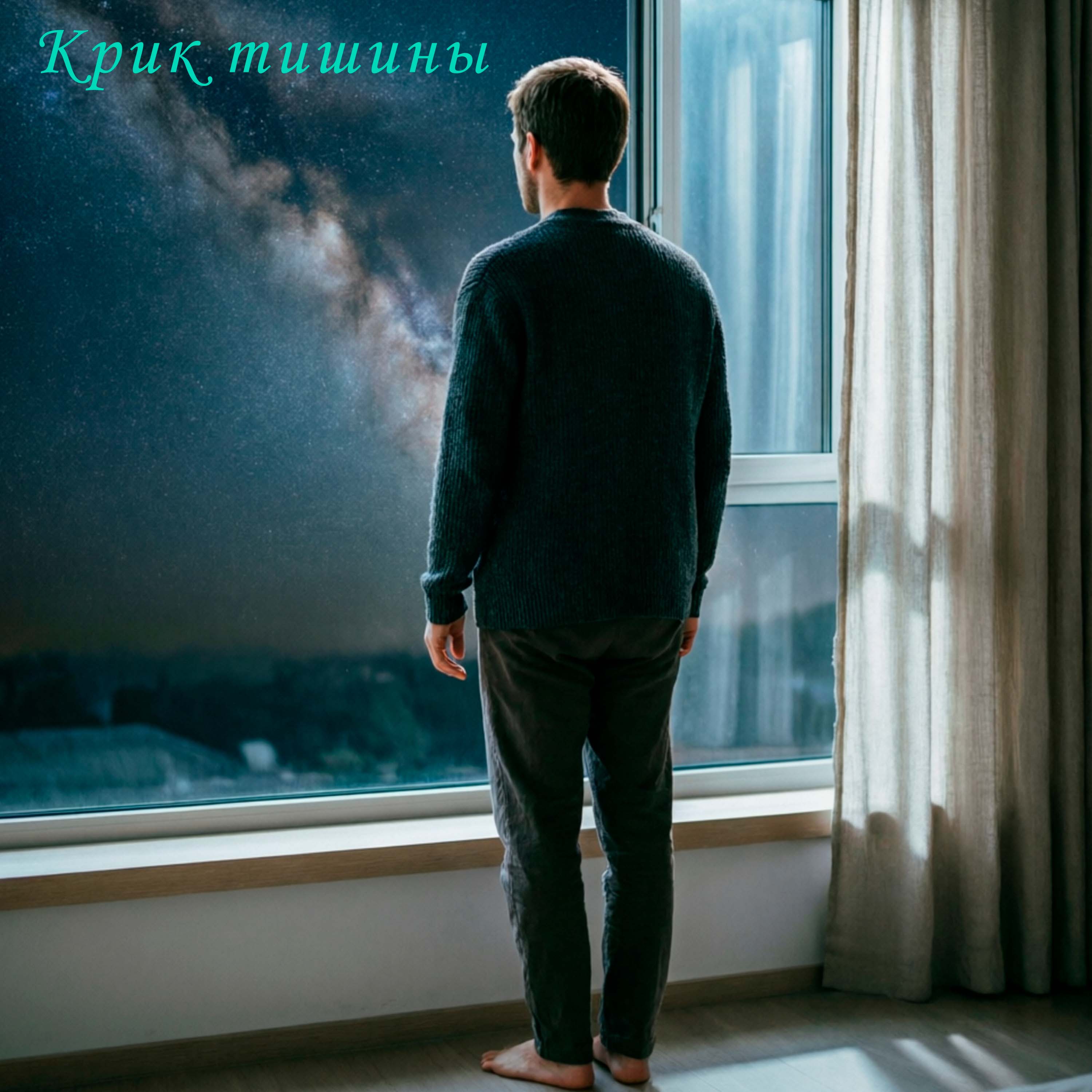 Крик тишины — обложка