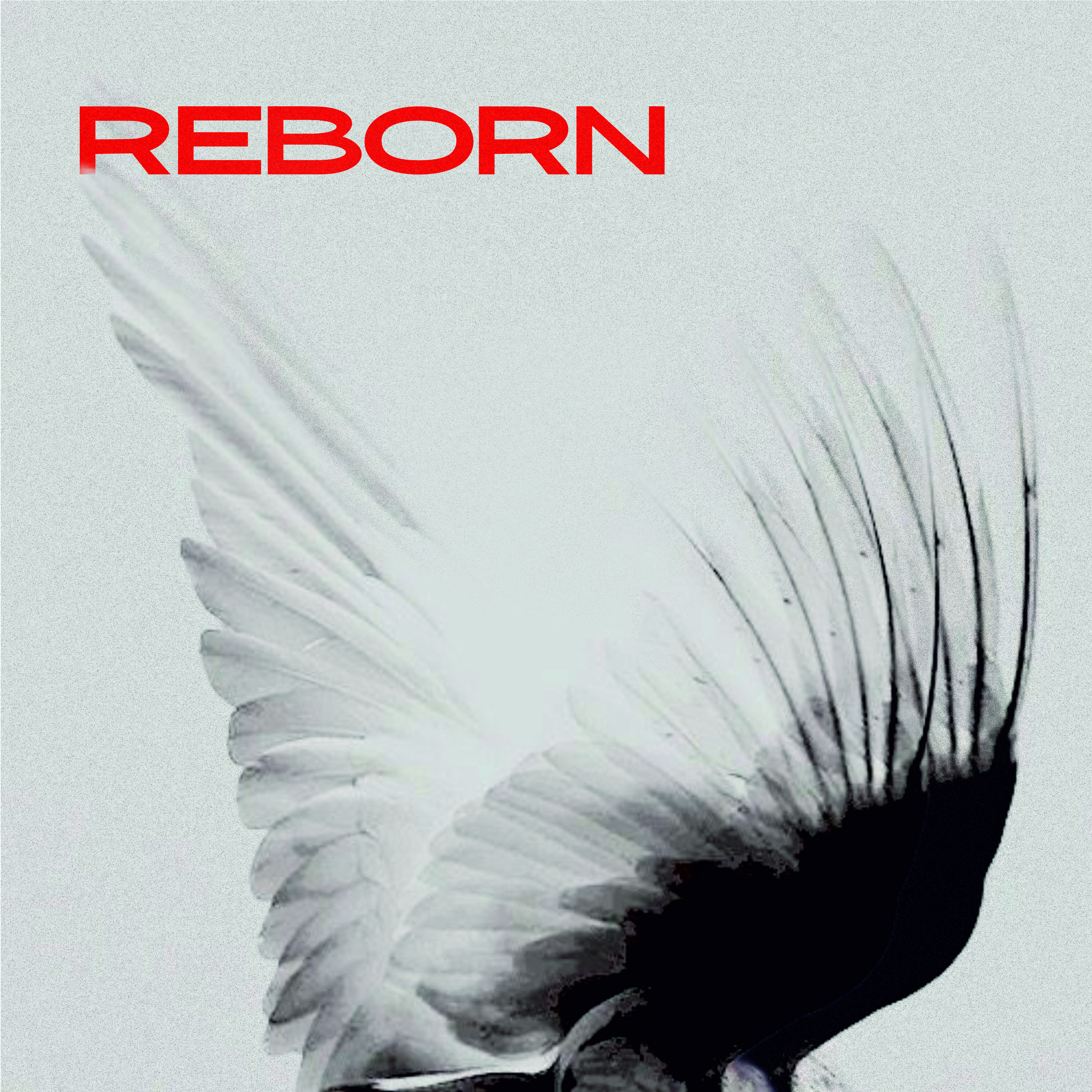 Reborn — обложка