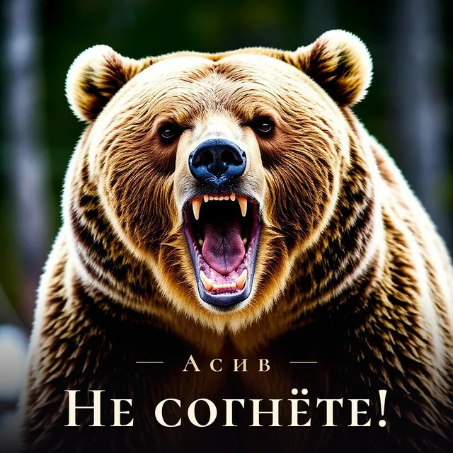 Асив — Не согнёте! — обложка релиза