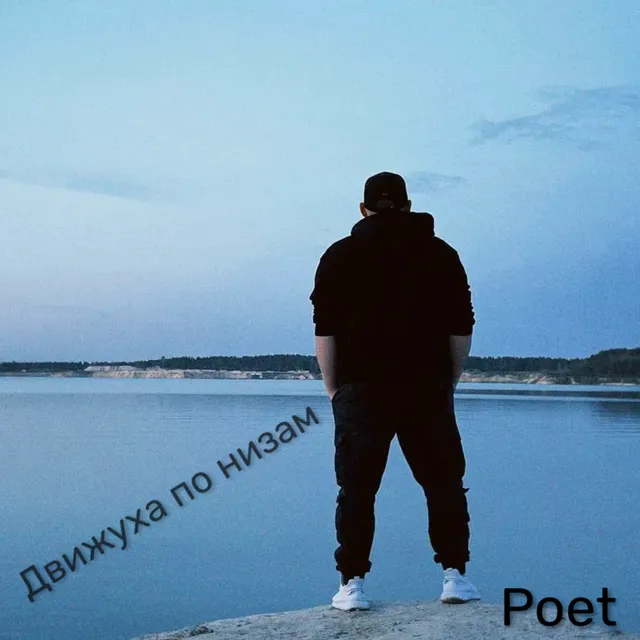 Poet — Движуха по низам — обложка релиза