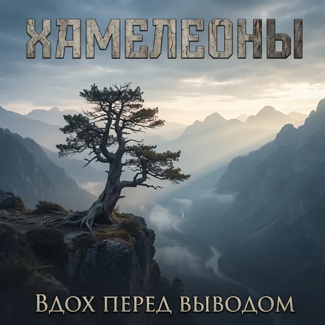Хамелеоны — Вдох перед выводом — обложка релиза