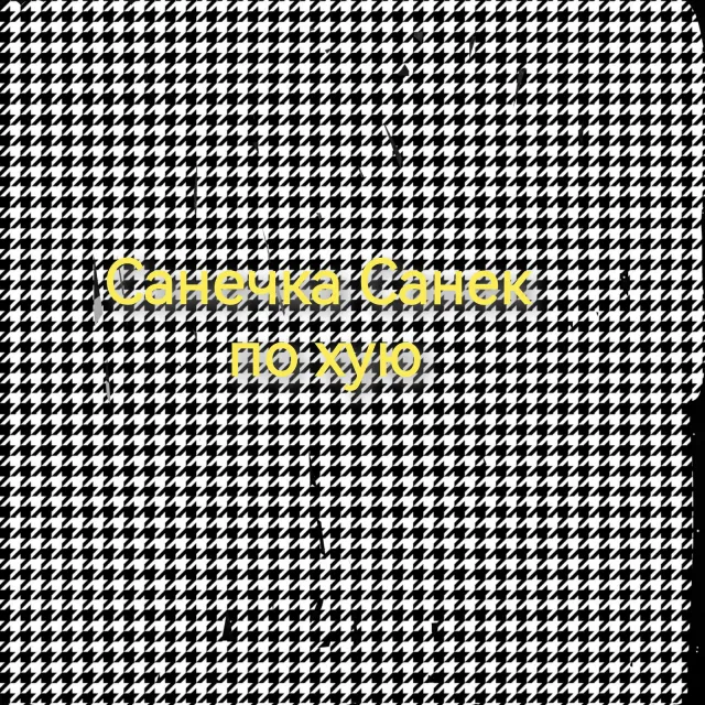Санечка Санек — По хую — обложка релиза