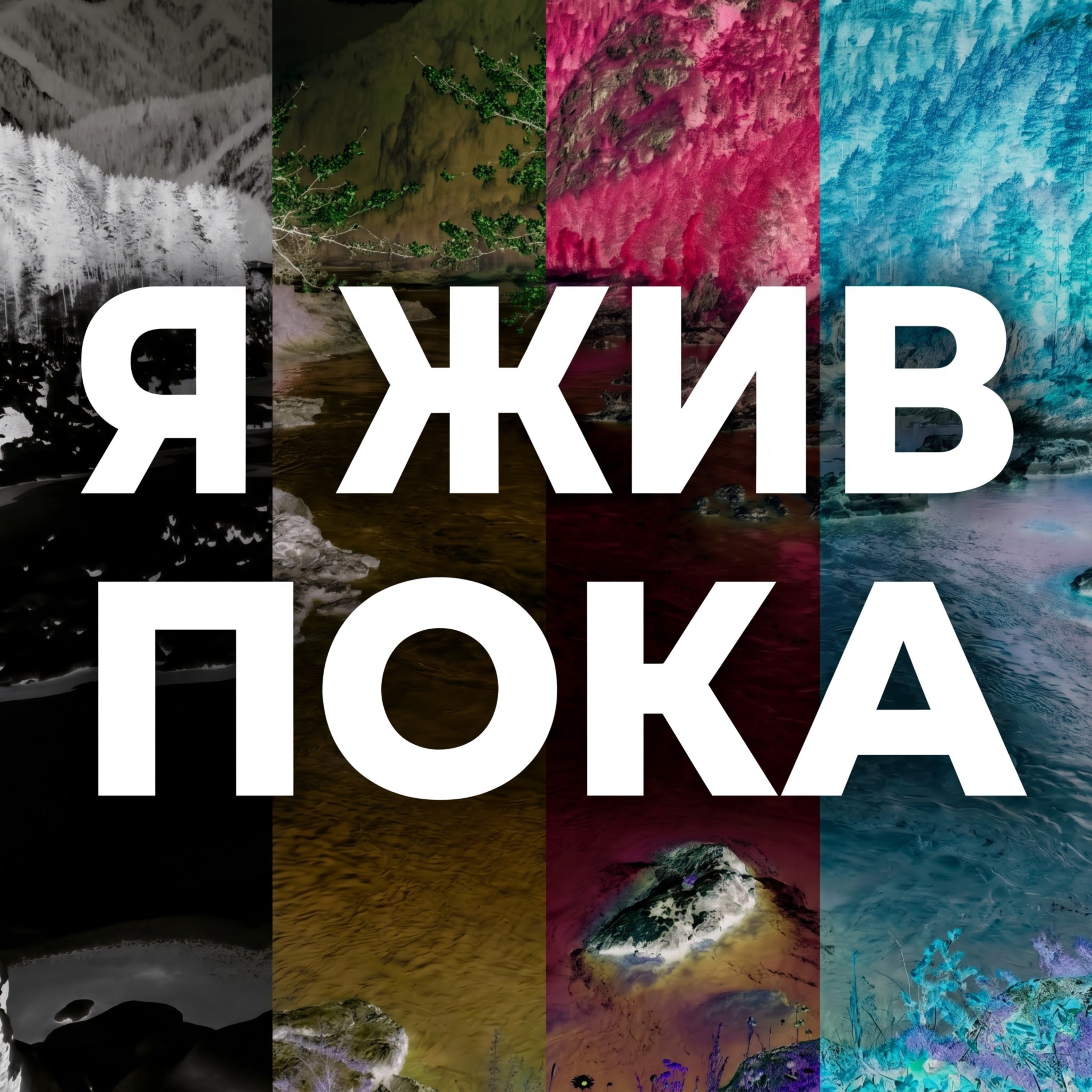 Я жив пока — обложка