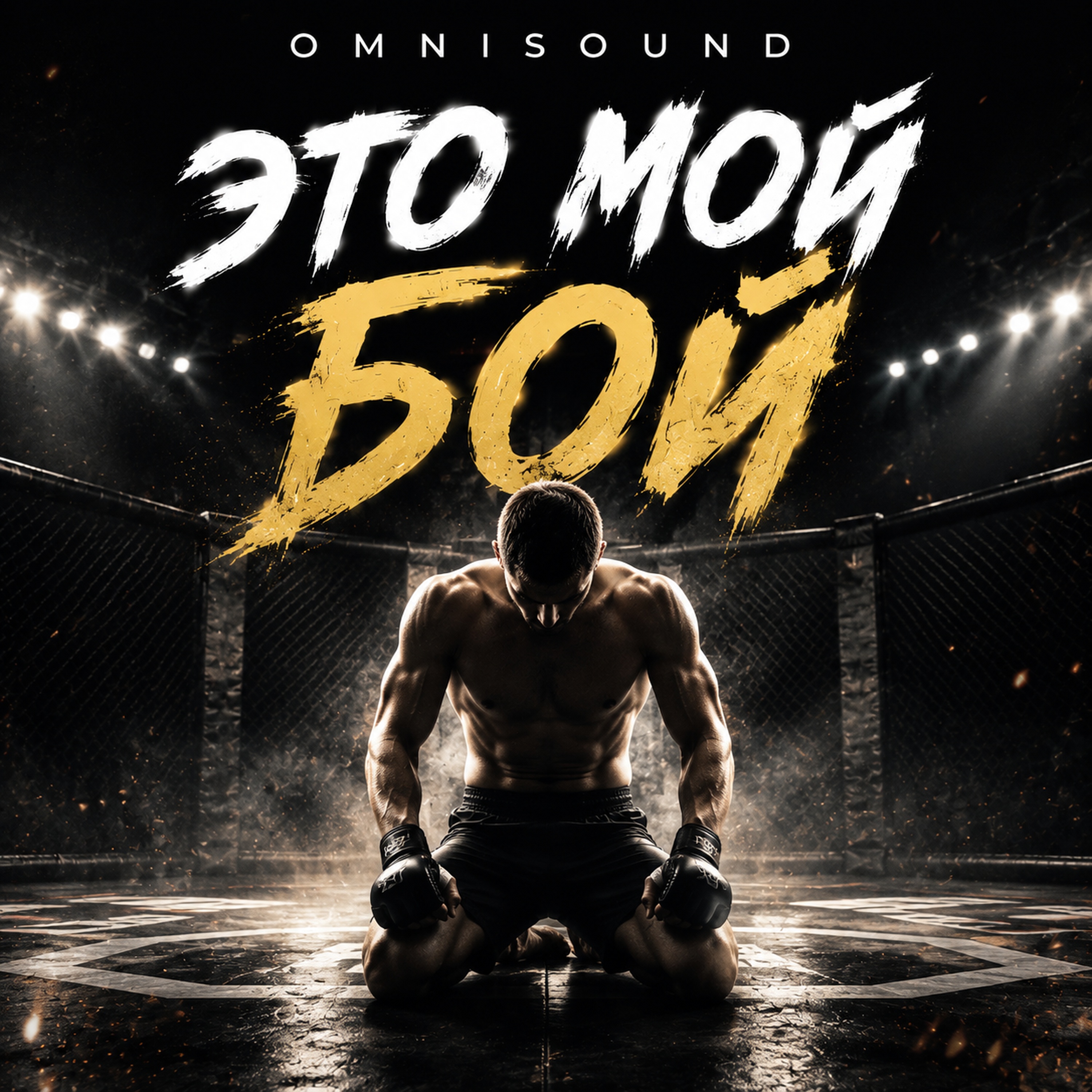 Это мой бой — обложка