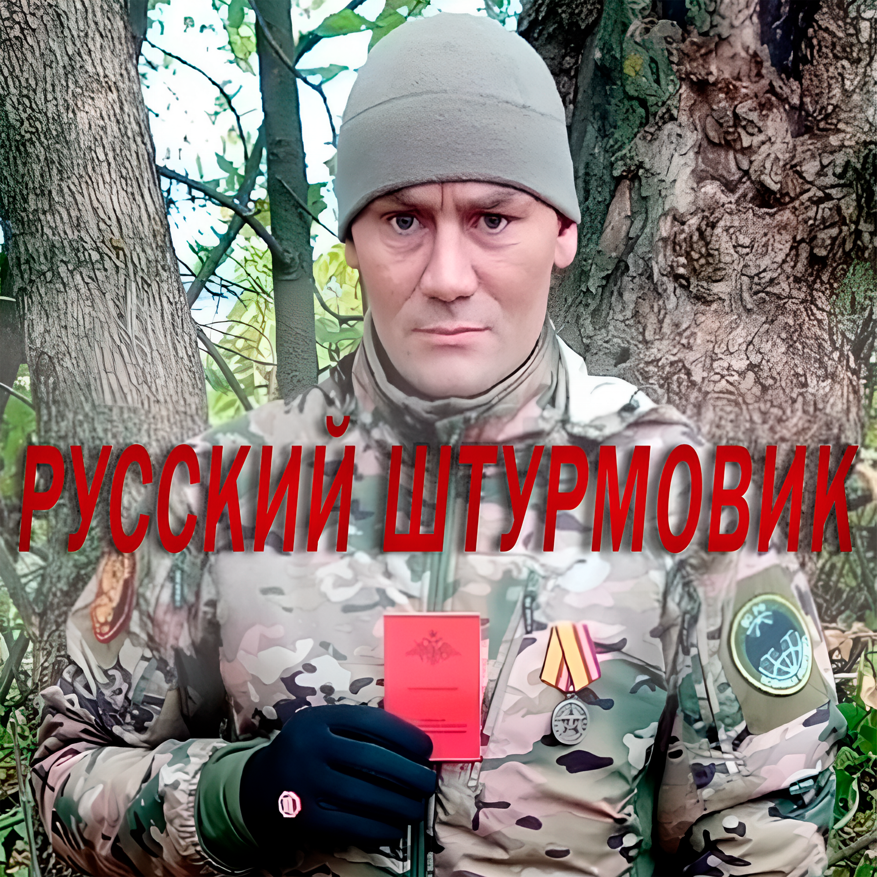 Русский штурмовик — обложка