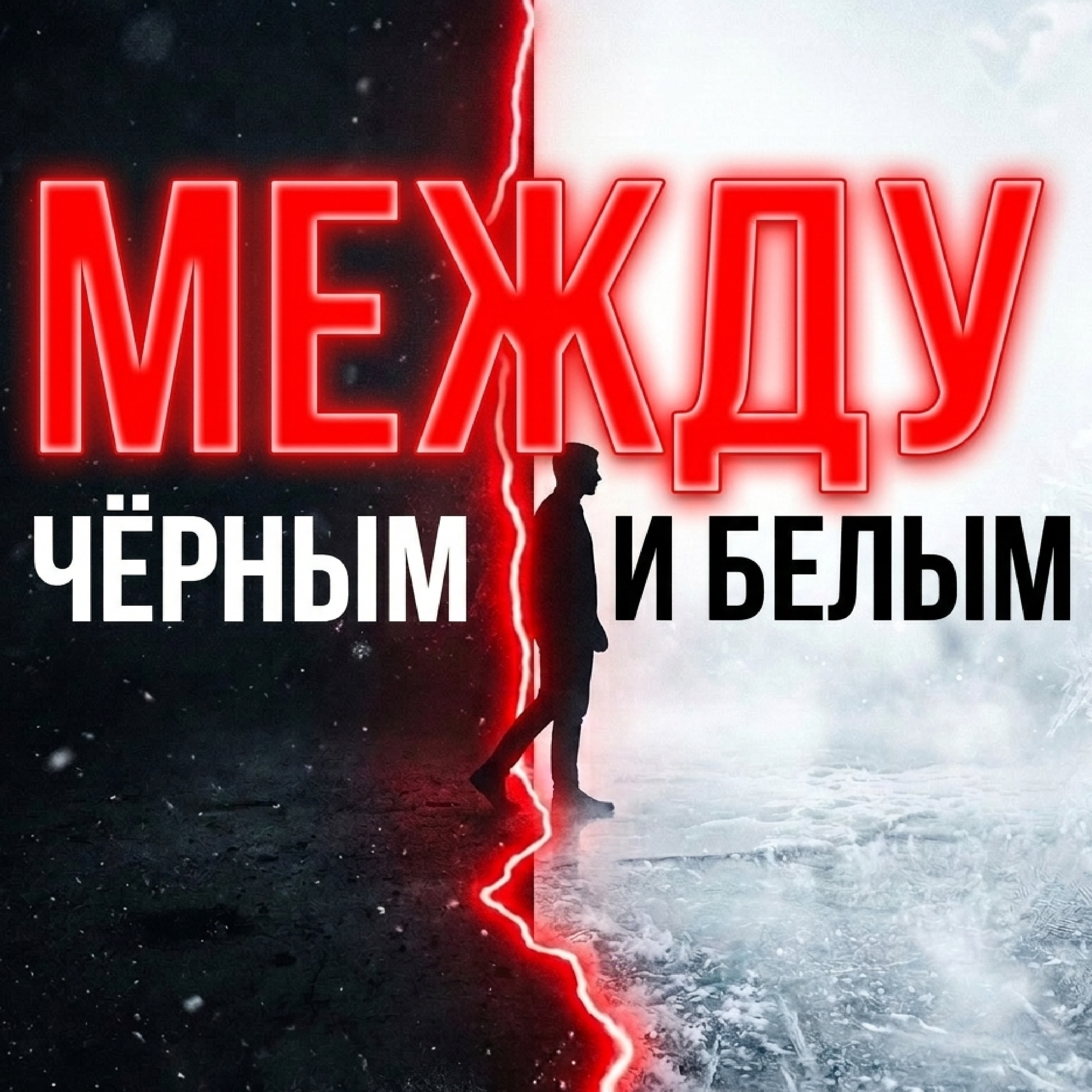 МЕЖДУ ЧЁРНЫМ И БЕЛЫМ — обложка
