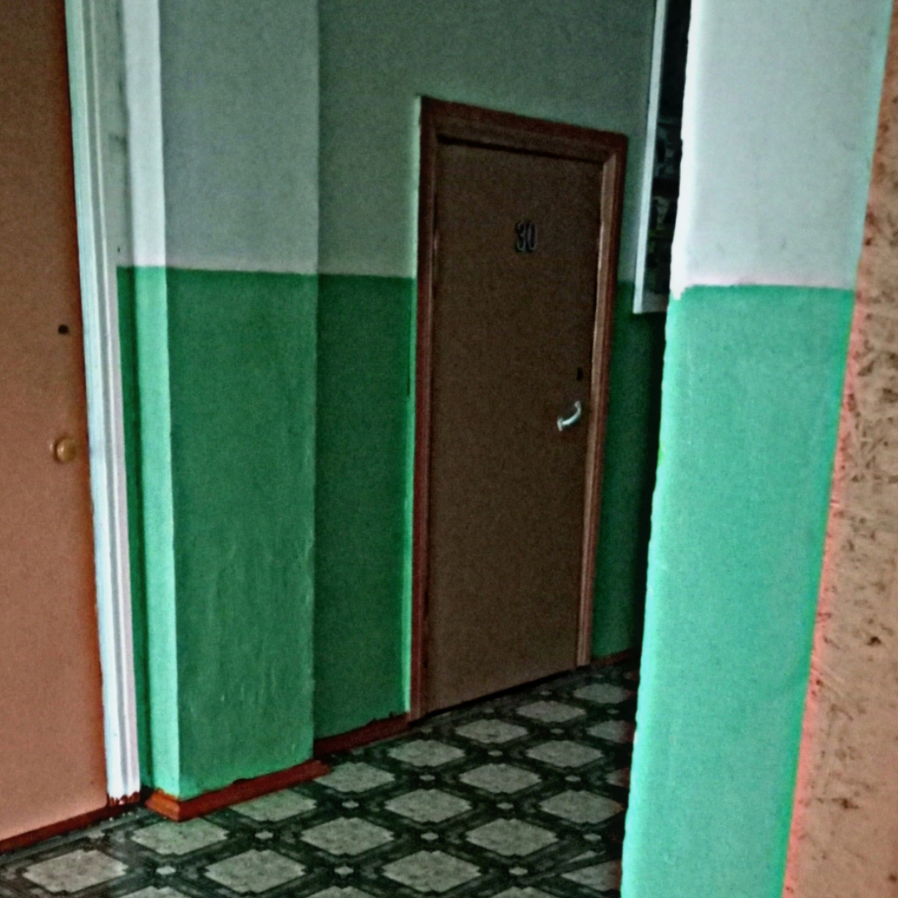 Девчонка из 30 — обложка