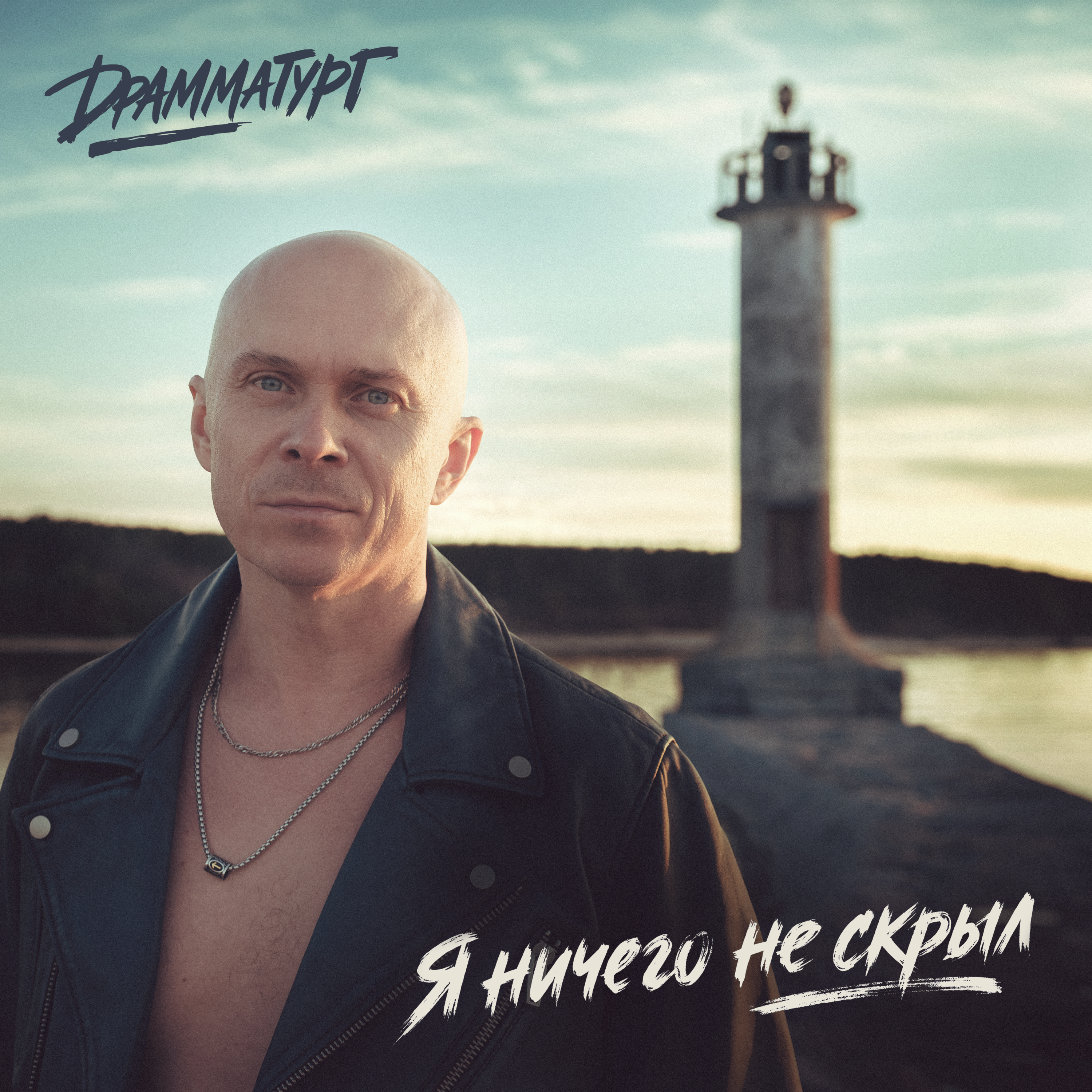 Я ничего не скрыл — обложка