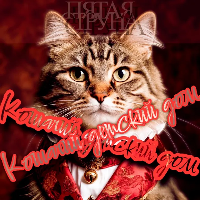 Пятая струна — Кошачий детский дом — обложка релиза