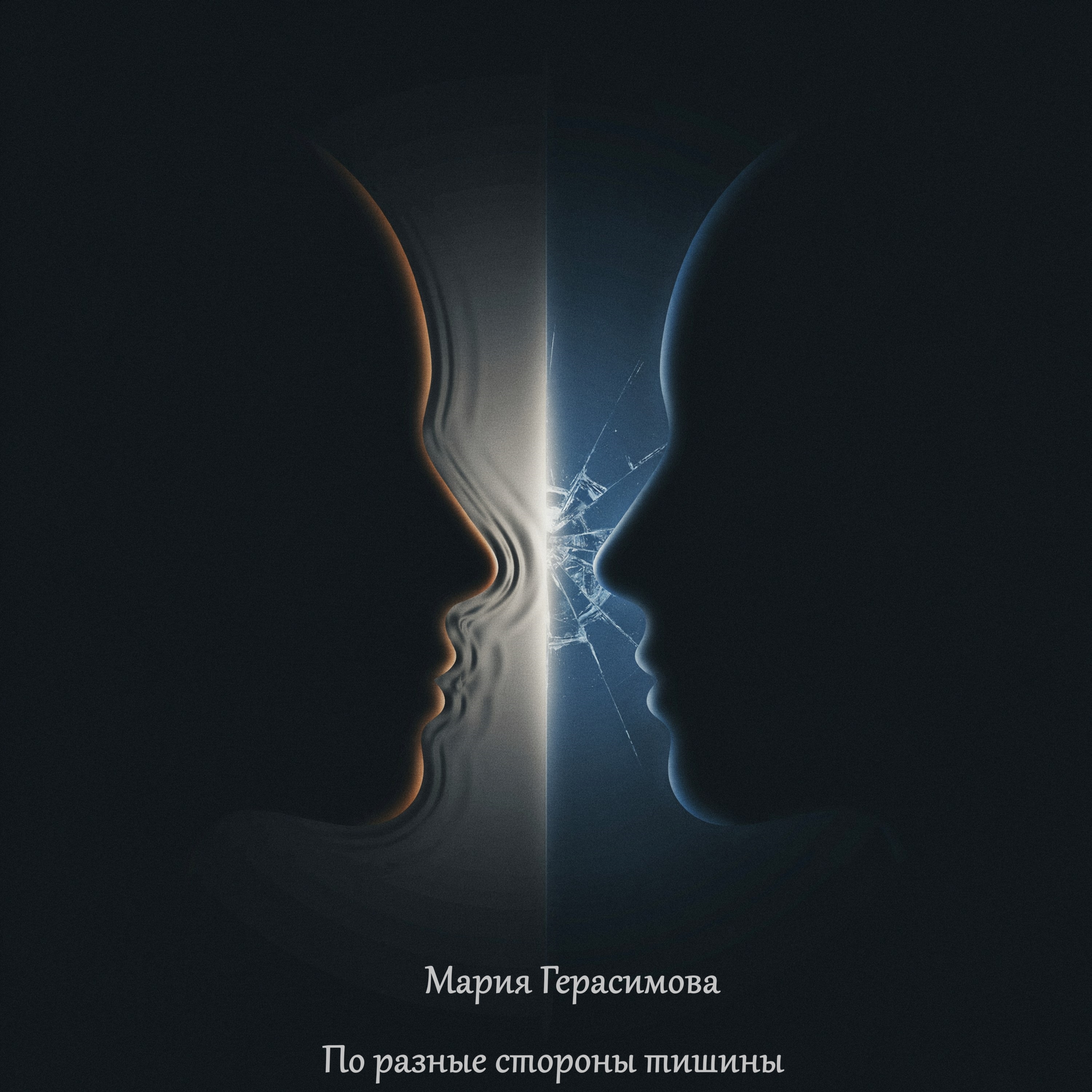 По разные стороны тишины — обложка
