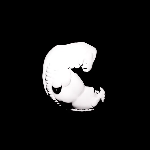 latent fish — embryo — обложка релиза