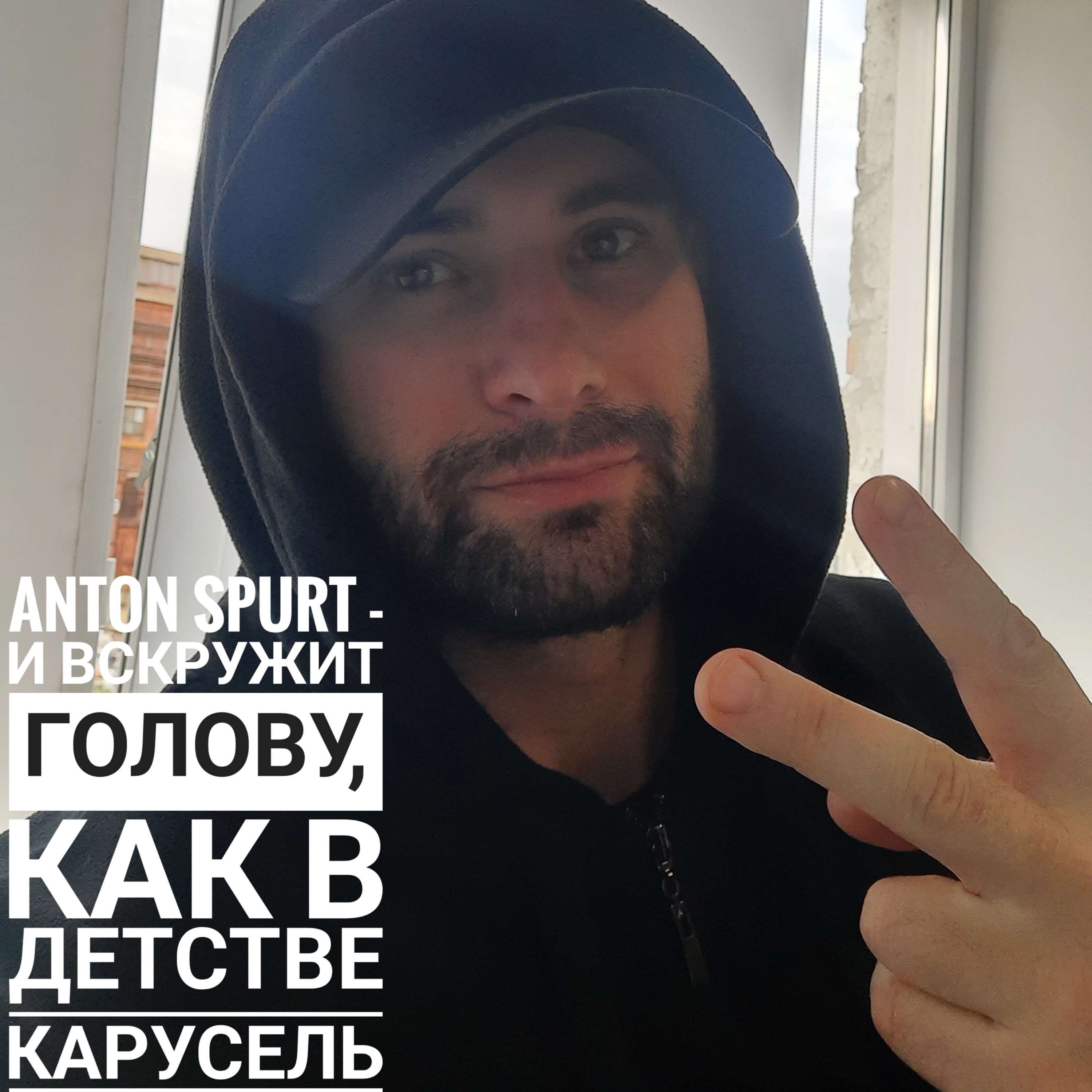 И вскружит голову, как в детстве карусель. — обложка