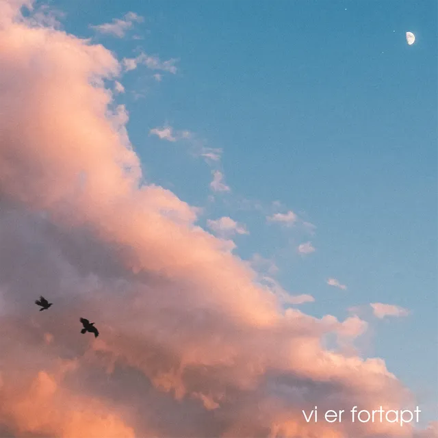 Ísfall — Vi Er Fortapt — обложка релиза