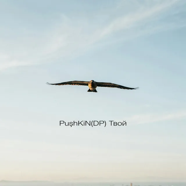 Pu$hKiN(DP) — Твой — обложка релиза